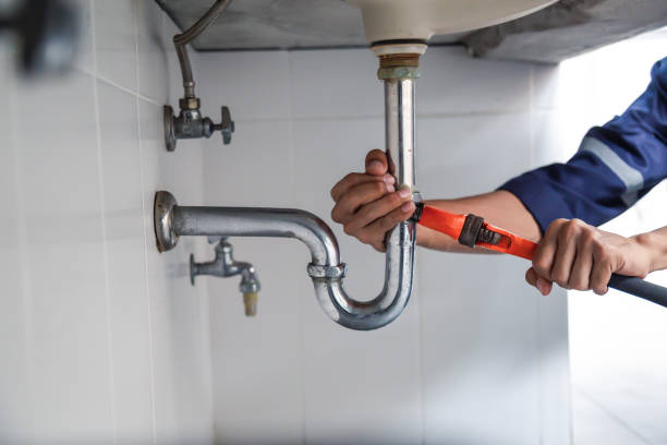 Best Plumbing Services Near Me  in La Huerta, NM