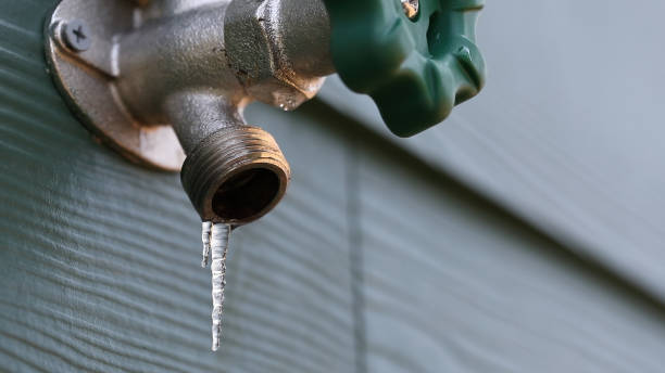 Best Shower Repair Services  in La Huerta, NM