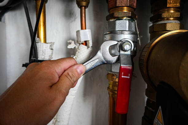 Best Local Plumber Services  in La Huerta, NM